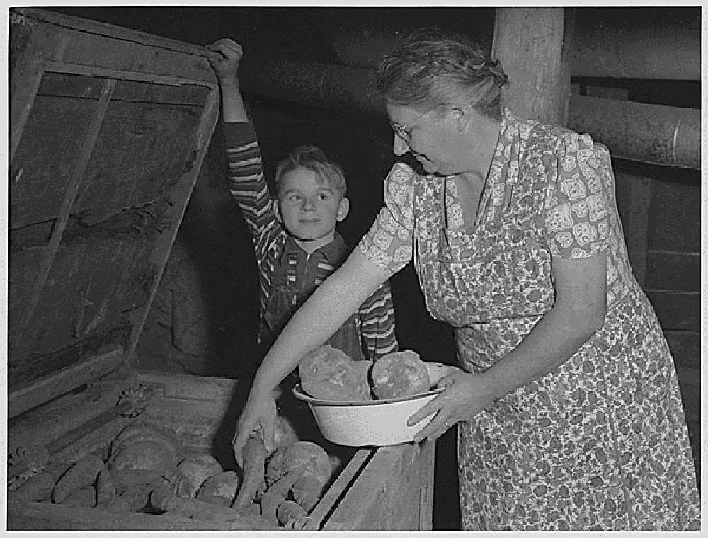 The Great Depression: Causes, Impact, and Recovery